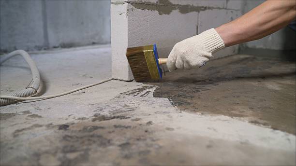 24/7 Emergency Wet Basement Repair experts in Springboro, OH